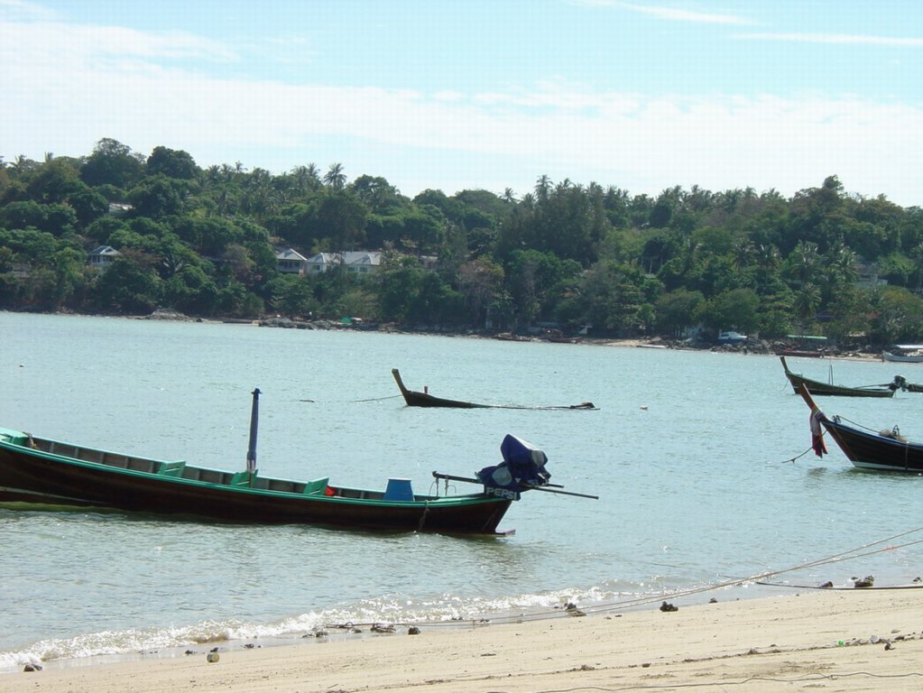 Photograph